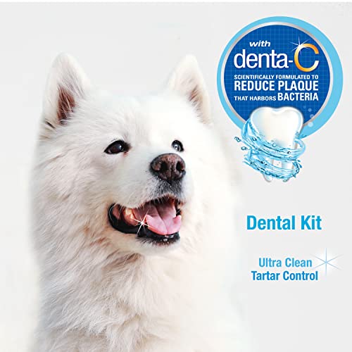 Nylabone Kit Dental avanzado para Perros de Cuidado bucal