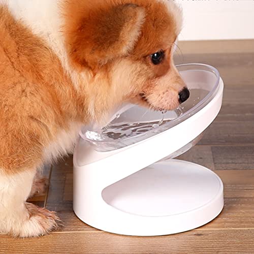 NZXVSE Cuenco de comida para gatos inclinado, cuencos elevados para gatos, cuenco alimentador de agua para mascotas para gatos o perros pequeños, protege la columna vertebral, prevención de reflujo