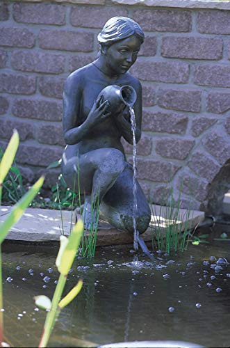 Oase 36673 - Aquarius Universal 440i