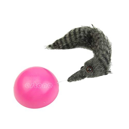Obtener Fresco Caliente Precioso Perro Comadreja Motorizada Bola de Rodamiento Aparece Saltar Moving Alive Juguete Castor Bola Entrega Al Azar