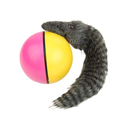 Obtener Fresco Caliente Precioso Perro Comadreja Motorizada Bola de Rodamiento Aparece Saltar Moving Alive Juguete Castor Bola Entrega Al Azar