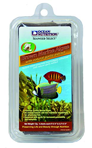 Ocean Nutrition Algas marinas selectas marrones 12 g