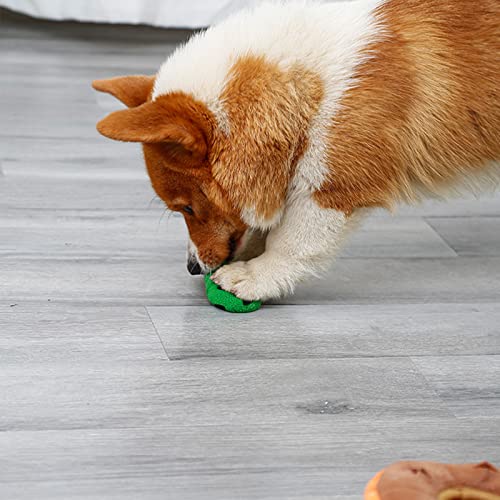 OhhGo Juguete interactivo para perros pequeños y grandes