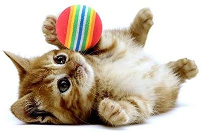 Olddreaming-- Pelota resistente a las mordeduras de color de Rinbow para gatos y perros, juguetes de mascotas, ejercicio al aire libre, pelotas de tenis de espuma suave para mascotas