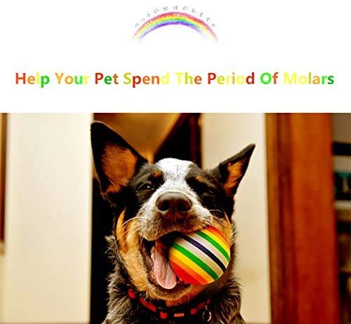 Olddreaming-- Pelota resistente a las mordeduras de color de Rinbow para gatos y perros, juguetes de mascotas, ejercicio al aire libre, pelotas de tenis de espuma suave para mascotas