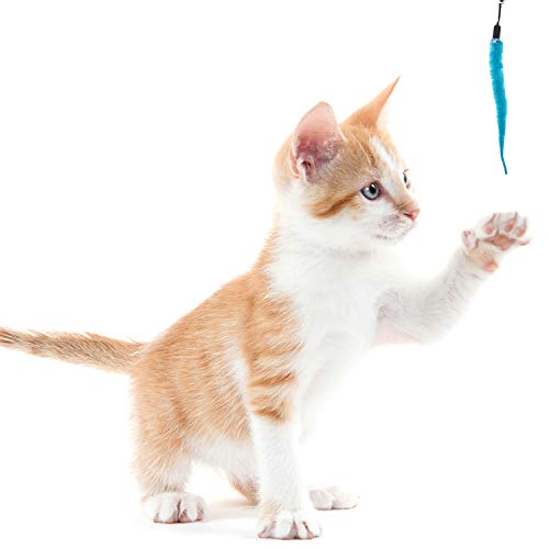 Olgaa - 24 piezas de repuesto para gusanos de gato, 6 colores, suministros para mascotas, juguetes divertidos para gatos y perros