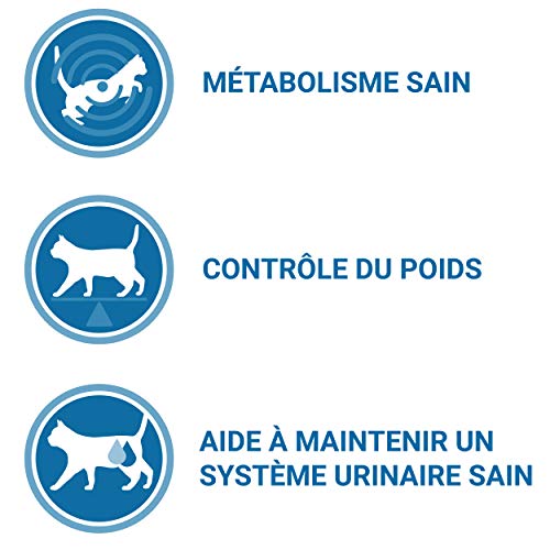 One 1571260031 - Menú Gato purina esterilizado Rico en salmón y Trigo, Pack de 6