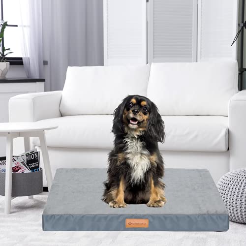 OrionisPet Cama para Perros Pequeños, Medianos,Grandes Cojín Interior Perro Lavable Extraíble, Espuma Ortopédica con Forma de Huevo Impermeable (Small)