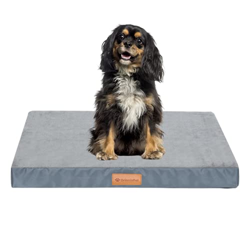 OrionisPet Cama para Perros Pequeños, Medianos,Grandes Cojín Interior Perro Lavable Extraíble, Espuma Ortopédica con Forma de Huevo Impermeable (Small)