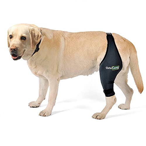 Ortocanis Protector de Rodilla para Perros Original - Lesiones de ligamentos Cruzados, luxación de rótula, artrosis - Talla XS (Izquierda)