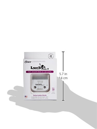 OSTER Hoja de Gato de la Suerte número 7