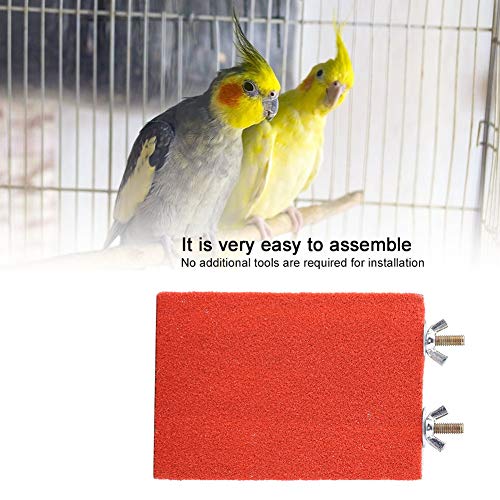 Oumefar Colorido Soporte para Percha de pájaro Plataforma Loro rectángulo Patio de Juegos Pulido Juguetes de Ejercicio Limpio para Loro hámster Ardilla(Tornillo Lateral Corto Rojo)
