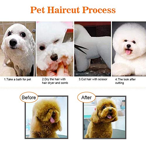Oumefar Kit de Tijeras de Aseo de Mascotas de Acero Inoxidable 7 en 1 Tijeras de peluquería para Gatos Herramientas de Corte de Pelo para Adelgazamiento de Corte de Mascotas