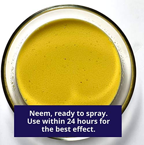 OURONS Aceite de neem – Concentrado fuerte soluble en agua – Diluir para compensar 25 litros de neem spray