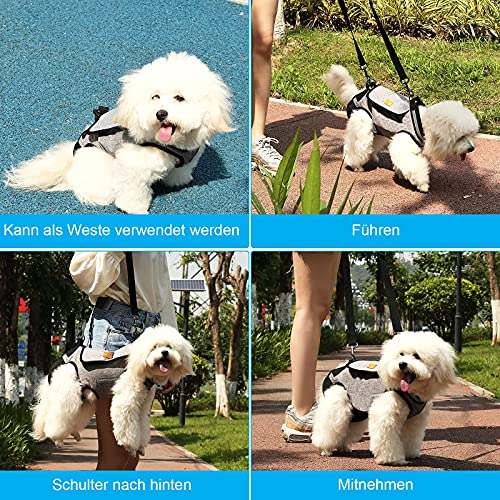 Ownpets Bolsa de transporte para perros para mascotas con cuerpo cruzado para gatos y perros, S