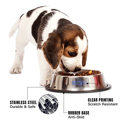 OXYEFEI Comedero perro personalizado, Comedero para Perro de Acero Inoxidable Grabado de texto en color,comedero y bebedero perro con Base Antideslizante,para Mascotas Pequeñas Gatos y perro (L)