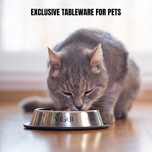 OXYEFEI Comedero perro personalizado, Comedero para Perro de Acero Inoxidable Grabado de texto en color,comedero y bebedero perro con Base Antideslizante,para Mascotas Pequeñas Gatos y perro (L)