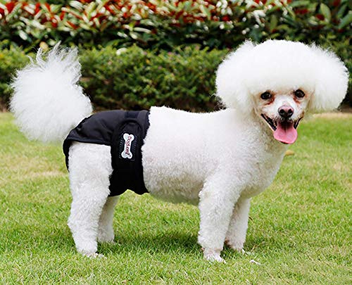 Oyccen 2 Piezas Pantalones Fisiológicos para Perra Mascotas Ropa Interior de Higiene Menstrual Pañales Bragas Sanitarias para Perro Pequeño Mediano y Grande