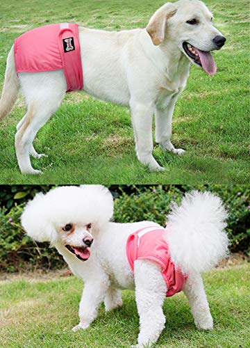 Oyccen 2 Piezas Pantalones Fisiológicos para Perra Mascotas Ropa Interior de Higiene Menstrual Pañales Bragas Sanitarias para Perro Pequeño Mediano y Grande