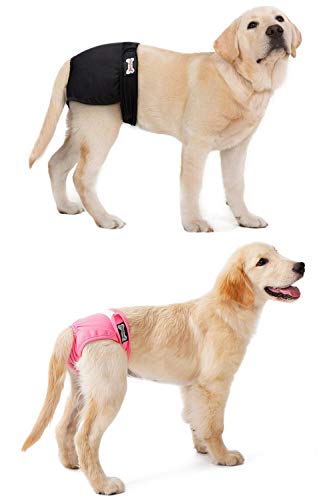 Oyccen 2 Piezas Pantalones Fisiológicos para Perra Mascotas Ropa Interior de Higiene Menstrual Pañales Bragas Sanitarias para Perro Pequeño Mediano y Grande