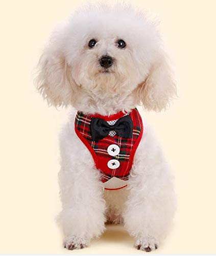 Oyccen Perro Gato Arnés Ajustable con Correa Chaleco de Malla Respirante Cachorros Bowknot Traje de Boda Ropa para Mascota Pequeño