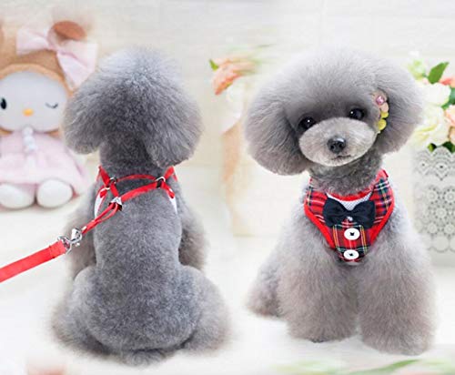 Oyccen Perro Gato Arnés Ajustable con Correa Chaleco de Malla Respirante Cachorros Bowknot Traje de Boda Ropa para Mascota Pequeño