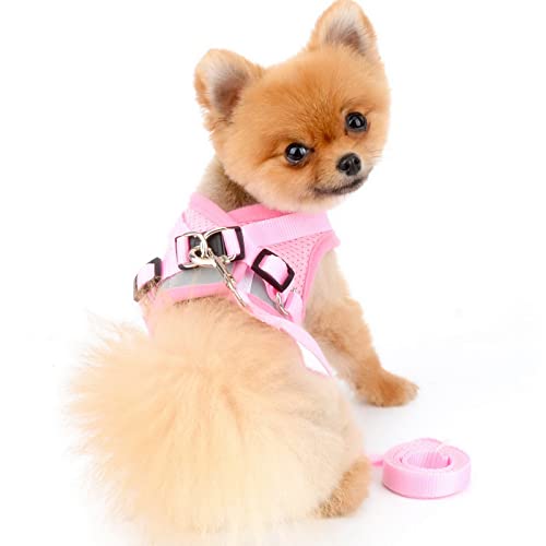 PAIDEFUL Arnés de Malla Suave para Perros Pequeños Reflexivo Gatos Chaleco Acolchado para Cachorros Niñas Niños Correa Ajustable Correa para Gatito Caminar Chihuahua Yorkie Rosado XS