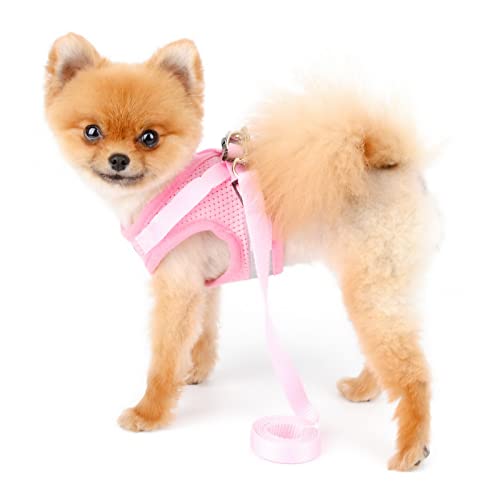 PAIDEFUL Arnés de Malla Suave para Perros Pequeños Reflexivo Gatos Chaleco Acolchado para Cachorros Niñas Niños Correa Ajustable Correa para Gatito Caminar Chihuahua Yorkie Rosado XS