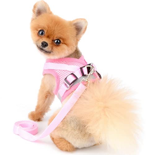 PAIDEFUL Arnés de Malla Suave para Perros Pequeños Reflexivo Gatos Chaleco Acolchado para Cachorros Niñas Niños Correa Ajustable Correa para Gatito Caminar Chihuahua Yorkie Rosado XS