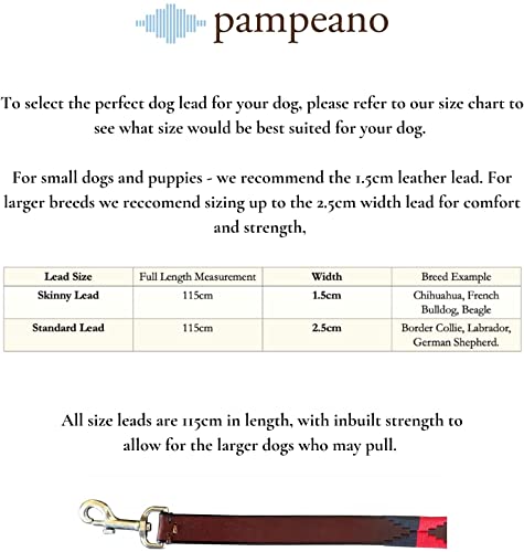 pampeano | Navidad - Correa para Perro de Polo de Cuero Argentino Premium Hecha a Mano - Caja de Regalo | Todos los Perros | 1,5 cm de Ancho, 115 cm de Largo | Cierre de Acero Inoxidable