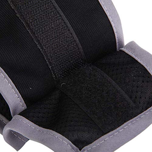 Pañales para perros para mascotas, pañales para mascotas, bandas para el vientre, ropa interior para mascotas, pantalones sanitarios para mascotas, ajuste a perro masculino, talla M