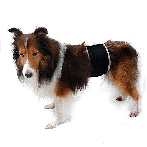 Pañales para perros para mascotas, pañales para mascotas, bandas para el vientre, ropa interior para mascotas, pantalones sanitarios para mascotas, ajuste a perro masculino, talla M