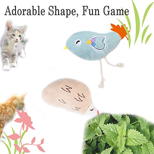PAPIEEED Juguete de gato para gatos de interior, juego de juguetes para masticar gatos de bellota, juego interactivo para gatos de peluche para masticar molienda – Bellota con palo, pollito, erizo