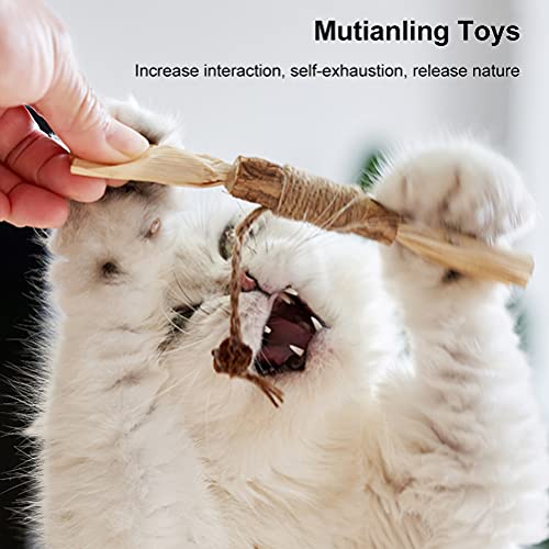 Paquete de 2 Juguetes para Masticar Hierba gatera, palitos para Masticar Gatos, palitos de Silvervine, Juguetes para Gatos, Escoba, palitos Naturales, para Tratar Gatos de Interior