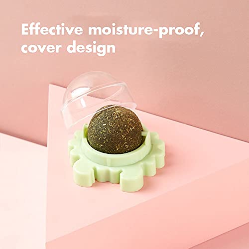 pawstrip Bolas de pared Catnip para gato lamiendo gatito interactivo giratorio juguetes gatito natural comestible menta Snack para masticar limpieza de dientes