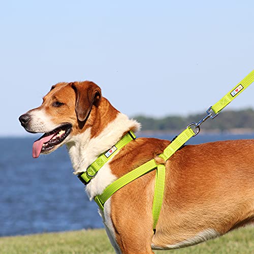 Pawtitas Adiestramiento Arnés para Perro o Cachorro Reflectante | Arnes Perro Antitirones | Arneses para Perro para Entrenamiento - Arnes Perro XS Extra Pequeño Rosa