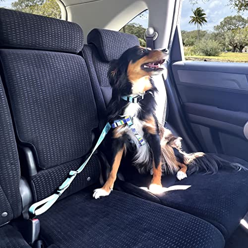 Pawtitas Cinturón de Seguridad de Coche para Perros con Correa de sujeción para Mascotas Color Rosa