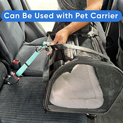 Pawtitas Cinturón de Seguridad de Coche para Perros con Correa de sujeción para Mascotas Color Rosa