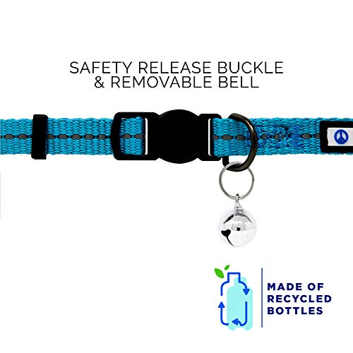 Pawtitas Collar para Gato Reciclable de Botellas de plastico con Cascabel removible y Cierre Seguridad para Sus Mascotas | Collar de Gato Reflectante con Hebilla de Seguridad - Collar Ola Turquesa