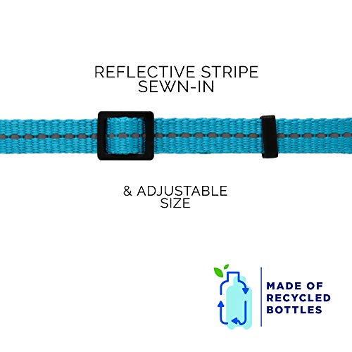 Pawtitas Collar para Gato Reciclable de Botellas de plastico con Cascabel removible y Cierre Seguridad para Sus Mascotas | Collar de Gato Reflectante con Hebilla de Seguridad - Collar Ola Turquesa