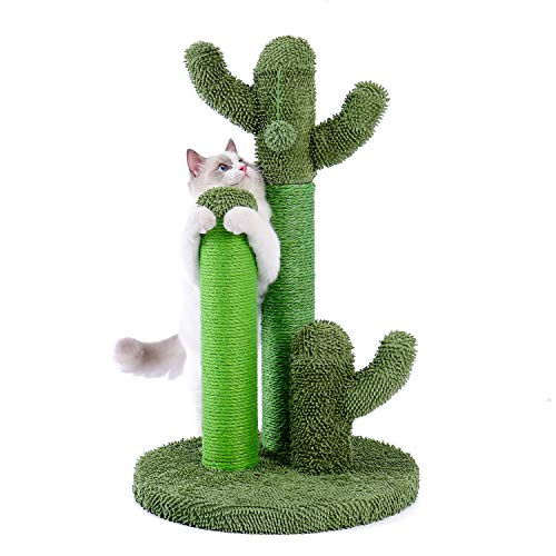 PAWZ Road Cactus Poste Rascador para Gatos, pequeño Árbol Rascador para Gatos con Pelota de Juguete, Fondo Verde 68cm (Talla L)