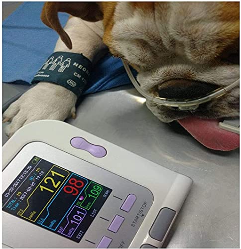 pcbhb Tensimetro de Brazo Elctrico Veterinario Lecturas de Presin Arterial Precisas Sonda SPO2 + 1 Puos para Perros/Gatos/Mascotas Cuidado De Animales