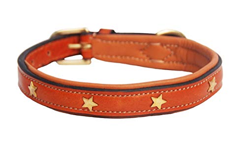 Pear - Tannery Collar de perro de cuero acolchado con estrella - Londres