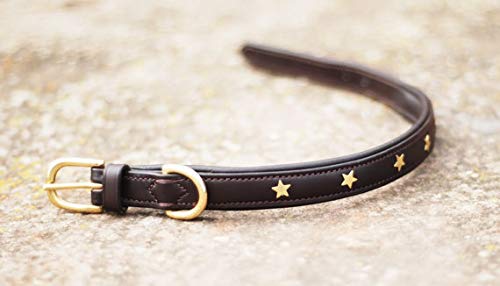 Pear - Tannery Collar de perro de cuero acolchado con estrella - Londres