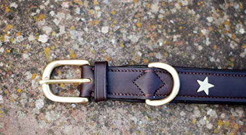 Pear - Tannery Collar de perro de cuero acolchado con estrella - Londres