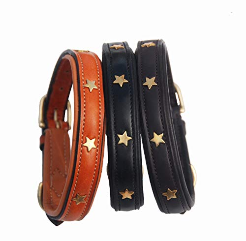 Pear - Tannery Collar de perro de cuero acolchado con estrella - Londres