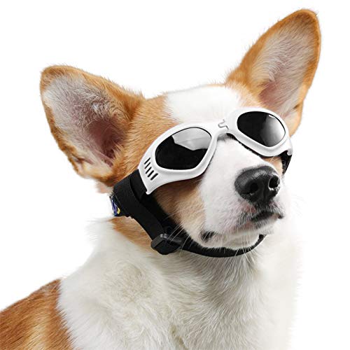 PEDOMUS - Gafas de Sol para Perros, Correas Ajustables para Gafas de Sol UV, Impermeables, protección para Perros pequeños y medianos, Color Blanco