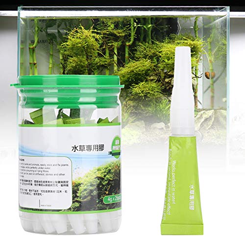 Pegamento para acuario verde, amplia gama de uso, pegamento verde floreciente, acuario para plantas, peces(New green, Polar Animals)