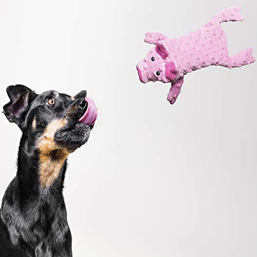Peluche para Perros Gloria - Tamaño 63 cm - Peluche DogMonsters Serpiente - Juguete para Perros - Peluche con Sonido - Textura Suave - Material Resistente - Color Naranja