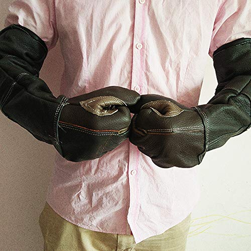 Peluquería para Mascotas Guantes de Cuero - para el Perro de Gato Hurón Wild Bird Manejo de Mascotas Lucky